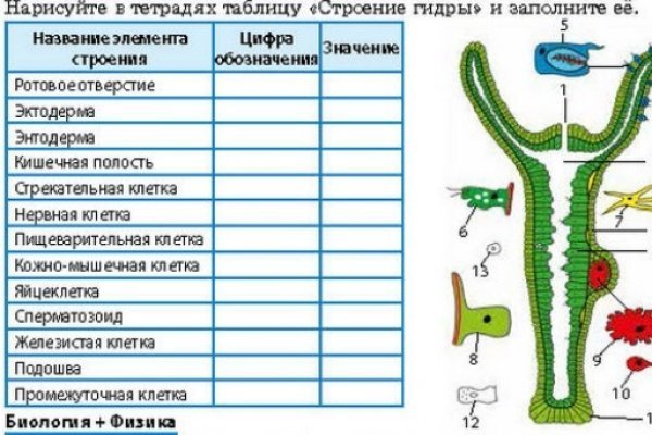 Не входит в кракен пользователь не найден